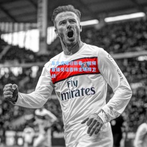 东北虎啸迎新春，视频直播见证吉林主场捍卫战