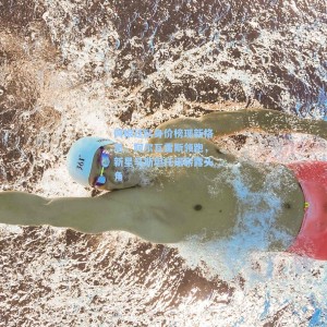 阿根廷队身价榜现新格局，阿尔瓦雷斯领跑，新星马斯坦托诺崭露头角